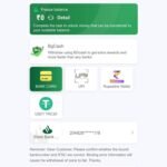 how to withdraw in BG678 game